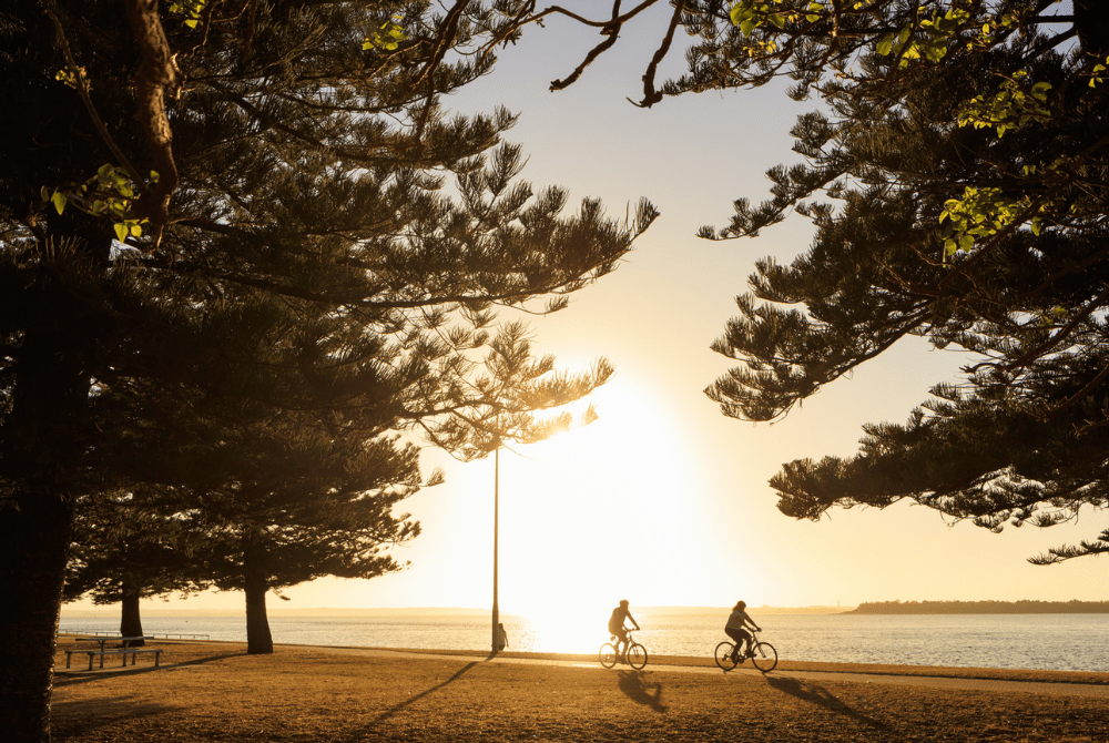 southern suburb